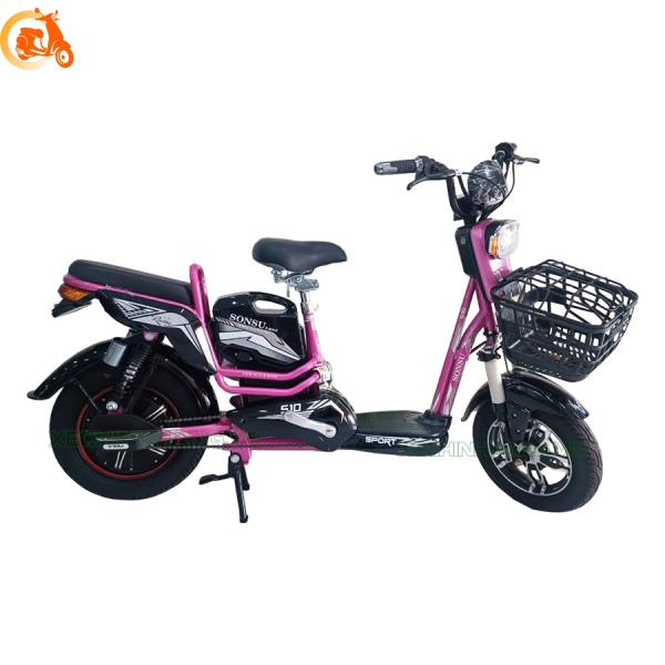 Xe đạp điện Sonsu S10 - 004